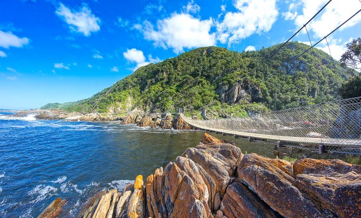Cape Point Tour (Half Day)